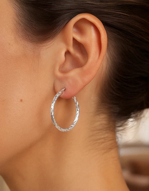 Load image into Gallery viewer, Sterling Silver Faceted Hoop Earrings
