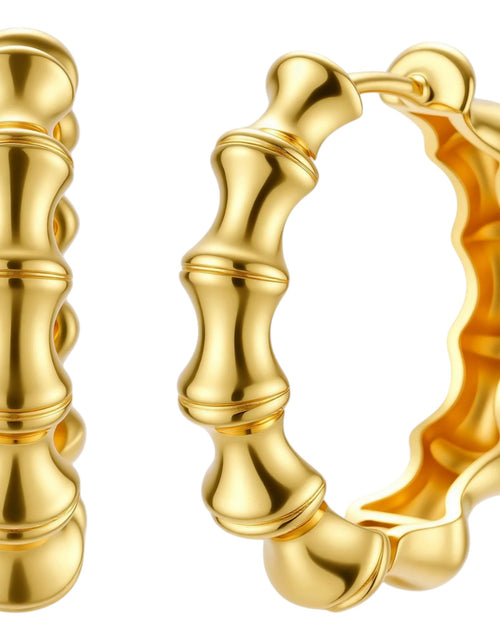 Load image into Gallery viewer, Simply Savvy Bamboo Segment Hoops
