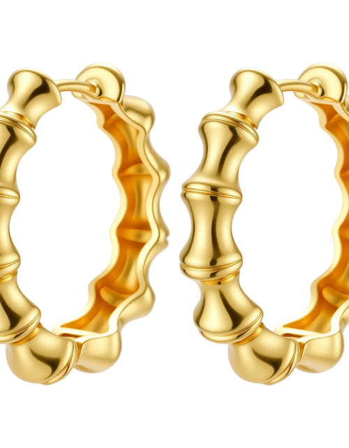 Load image into Gallery viewer, Simply Savvy Bamboo Segment Hoops
