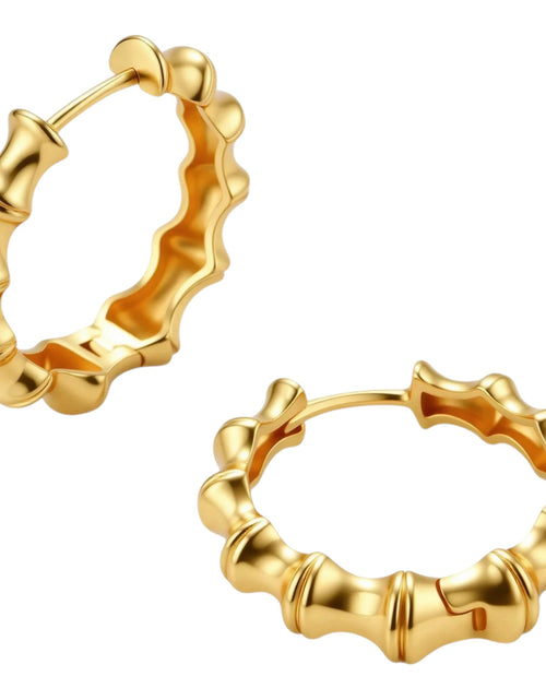 Load image into Gallery viewer, Simply Savvy Bamboo Segment Hoops
